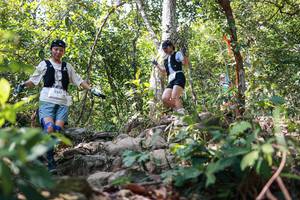 BIB: 
                            <button type="button" onclick="openModal(27699137)" class="btn btn-primary btn-sm float-right btn-popup" data-toggle="modal" data-target=".modal-high-quality">
                        <i class="fas fa-shopping-cart"></i> Add to Cart
                    </button>
                                            <button type="button" onclick="isThisMe(27699137, true)" class="btn btn-success btn-sm float-right btn-popup btn-isme hidden" data-toggle="tooltip" data-placement="bottom" title="นี่คือรูปของคุณใช่ไหม คลิกที่นี่เพื่อเอาเข้าอัลบั้ม">
                        <i class="fas fa-plus"></i> Add to album
                    </button>
                    <button type="button" onclick="isThisMe(27699137, false)" class="btn btn-warning btn-sm float-right btn-popup btn-isnotme hidden">
                        <i class="fas fa-ban"></i> Remove from album
                    </button>